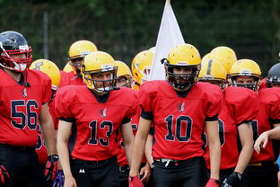 九游官网APP-球员伤病防护不足，球员伤病对球员的影响