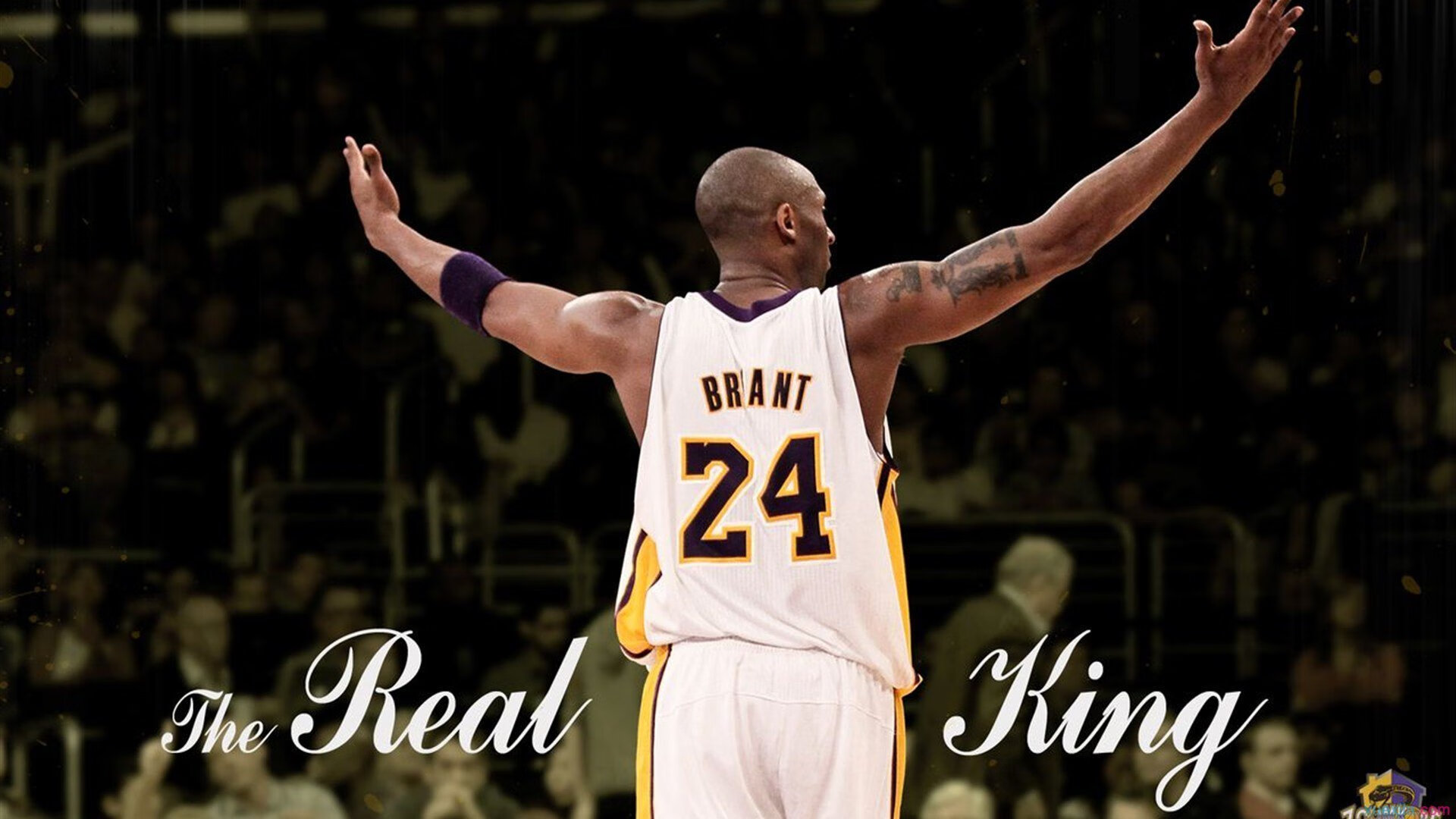 “最佳盖帽：联盟中令人叹服的经典封盖”，联盟盖帽排行榜